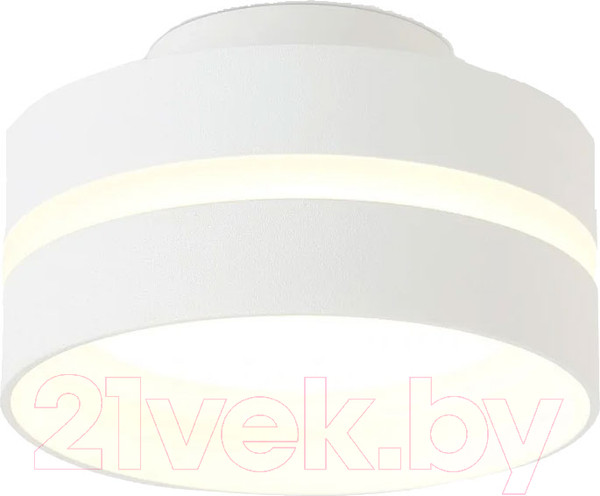 Изображение товара Точечный светильник Ambrella TN5419 SWH/FR (белый песок/белый матовый)