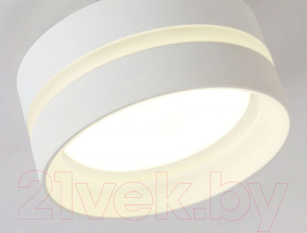 Изображение товара Точечный светильник Ambrella TN5419 SWH/FR (белый песок/белый матовый)