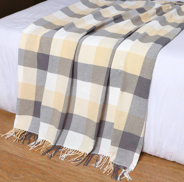 Изображение товара Плед Vladi Пикник 140х200 / 9809094 (белый/бежевый/серый)