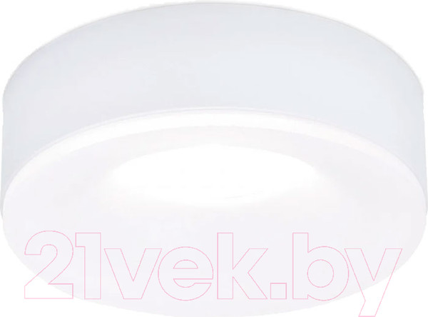 Изображение товара Точечный светильник Ambrella TN3331 SWH/FR (белый песок/белый матовый)