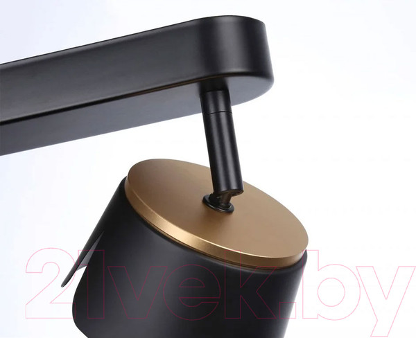 Изображение товара Спот Ambrella Techno Spot TN71231/2 BK/GD (черный/золото)
