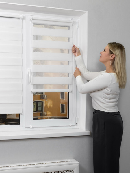 Изображение товара Рулонная штора Lm Decor ДН LB 54-01 90x160 (перламутр)