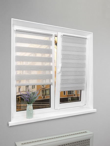 Изображение товара Рулонная штора Lm Decor ДН LB 54-02 38x160 (серебристый)