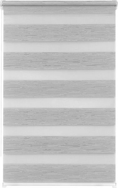 Изображение товара Рулонная штора Lm Decor ДН LB 54-02 38x160 (серебристый)