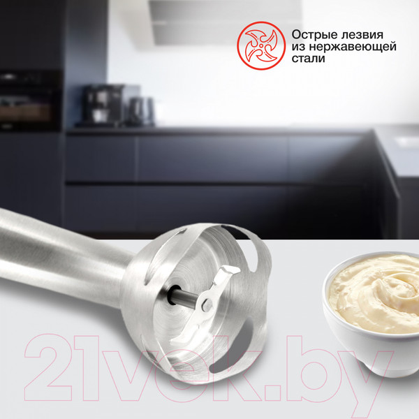 Изображение товара Блендер погружной StarWind SBP1111 (белый)