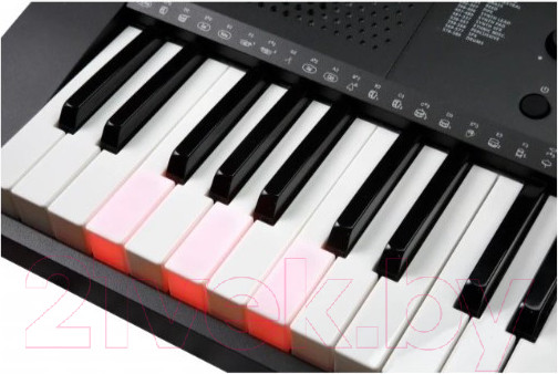 Изображение товара Синтезатор Kurzweil KP90 LB
