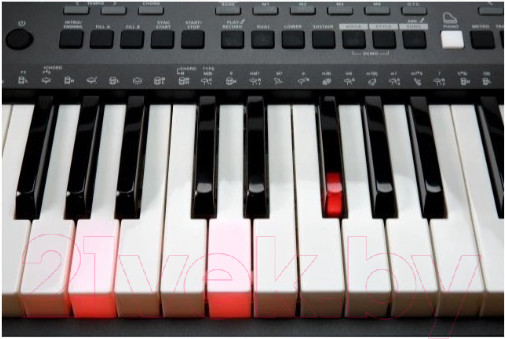 Изображение товара Синтезатор Kurzweil KP90 LB