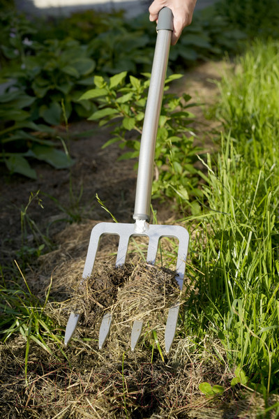 Изображение товара Вилы садовые Plantic X'tract / 21202-01