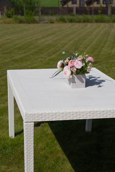 Изображение товара Стол пластиковый Ipae Progarden Prince / PRI016BI (белый)