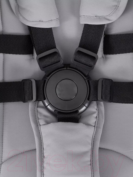 Изображение товара Детская прогулочная коляска Rant Pixel / RA401  (Classic Grey)