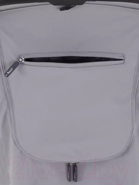 Изображение товара Детская прогулочная коляска Rant Pixel / RA401  (Classic Grey)