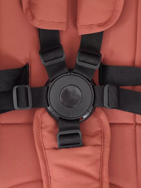 Изображение товара Детская прогулочная коляска Rant Pixel / RA401  (Maroon Brown)