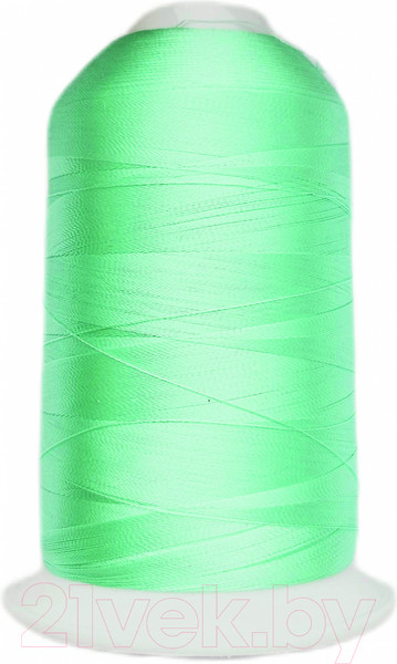 Изображение товара Вышивальные нитки Sentex 120D/2 5000м 13-5313 (светлая бирюза)