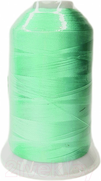 Изображение товара Вышивальные нитки Sentex 120D/2 5000м 13-5313 (светлая бирюза)