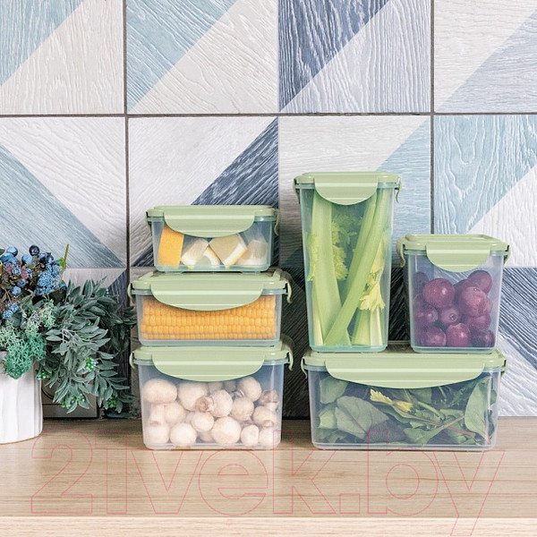 Изображение товара Контейнер Phibo Smart Lock / 431182009 (зеленый)