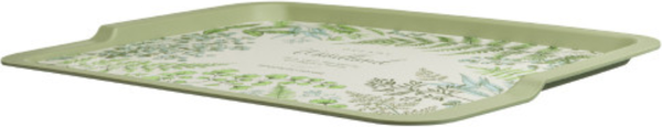 Изображение товара Поднос Phibo 431245209  (зеленый)