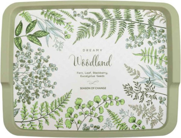 Изображение товара Поднос Phibo 431245209  (зеленый)