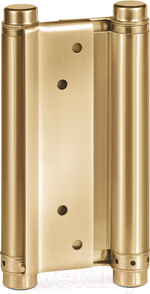 Изображение товара Комплект петель дверных Notedo DAH-153 SSGold
