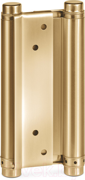 Изображение товара Комплект петель дверных Notedo DAH-178 SSGold