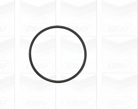 Изображение товара Помпа автомобильная GRAF PA941