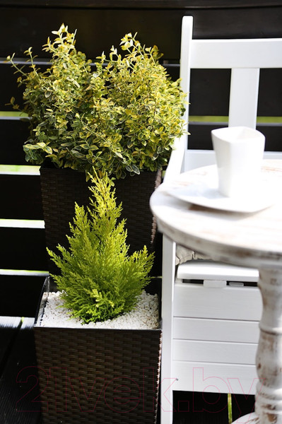 Изображение товара Кашпо Lamela Donica Juka / LA595-83 (мокка)