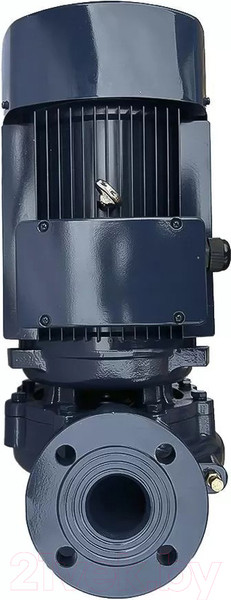 Изображение товара Циркуляционный насос Maxpump IL 50-220/11