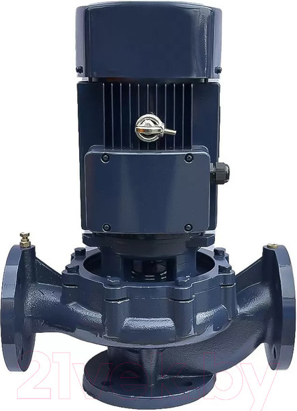 Изображение товара Циркуляционный насос Maxpump IL 50-250/15