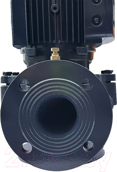 Изображение товара Циркуляционный насос Maxpump IL 65-310/30