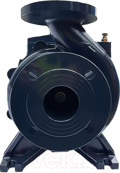 Изображение товара Циркуляционный насос Maxpump IL 65-310/30