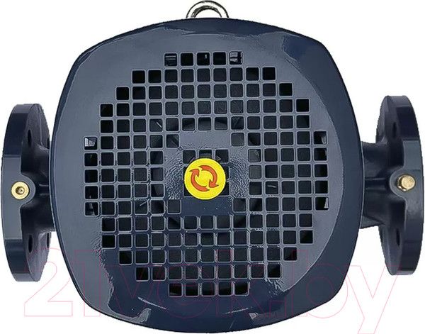 Изображение товара Циркуляционный насос Maxpump IL 65-310/30