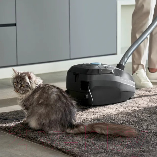 Изображение товара Пылесос Tefal TW4931EA