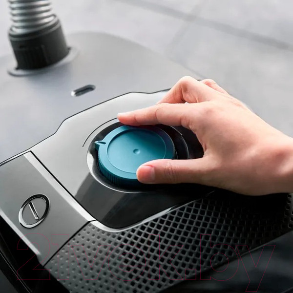 Изображение товара Пылесос Tefal TW4931EA