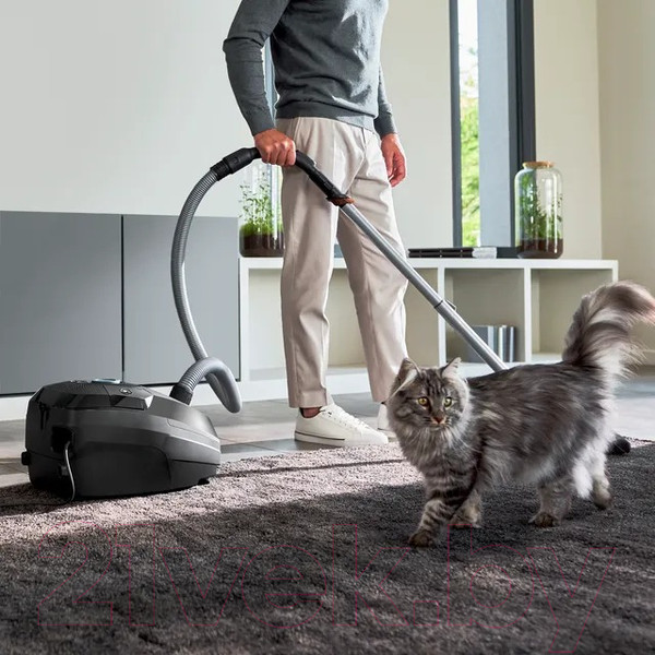 Изображение товара Пылесос Tefal TW4931EA