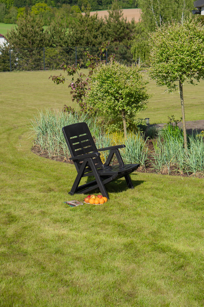 Изображение товара Складной шезлонг Ipae Progarden Smeraldo / SME30CAN (антрацит)