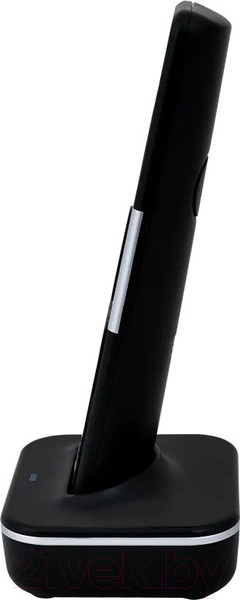 Изображение товара Беспроводной телефон Sanyo RA-SD1102RUS