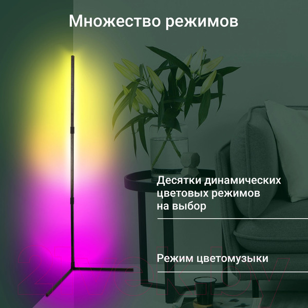 Изображение товара Торшер Digma FloorLight FL11 (черный)