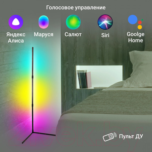 Изображение товара Торшер Digma FloorLight FL11 (черный)