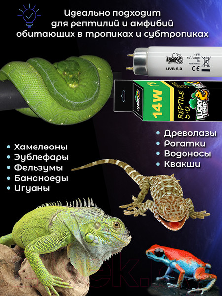 Изображение товара Лампа для террариума Lucky Herp Reptile UVB T8 Fluorescent Tube 14W UVB 5.0 / 008