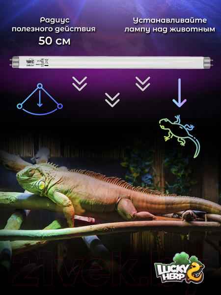 Изображение товара Лампа для террариума Lucky Herp Reptile UVB T8 Fluorescent Tube 14W UVB 5.0 / 008