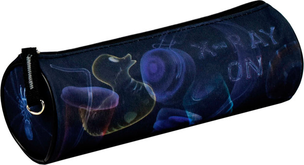 Изображение товара Пенал Феникс+ Рентген / 65271