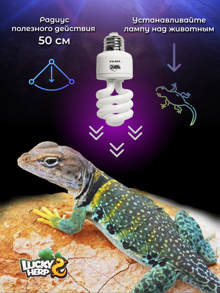 Изображение товара Лампа для террариума Lucky Herp Reptile UVB Compact Fluorescent Lamp 13W UVB 15.0 / 001