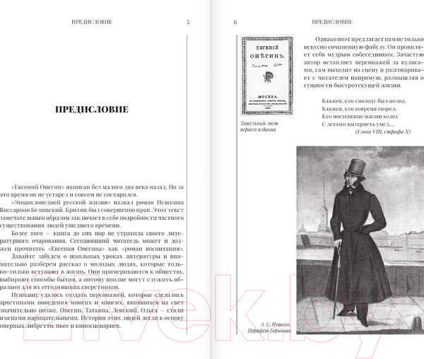 Изображение товара Книга АСТ Евгений Онегин. Шедевры мировой литературы / 9785171635626 (Пушкин А.С.)