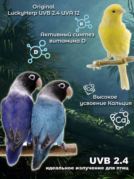 Изображение товара Лампа для птиц Lucky Herp Bird UVB Lamp 20W UVB 2.4 / 002