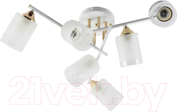 Изображение товара Люстра Rivoli Georgiana 9144-205 / Б0055879