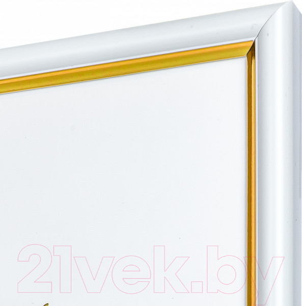 Изображение товара Рамка Мирам 636461-A4 (21x29.7)