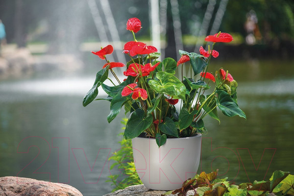 Изображение товара Кашпо Formplastic Muna / FP-2731-059 (бетон)