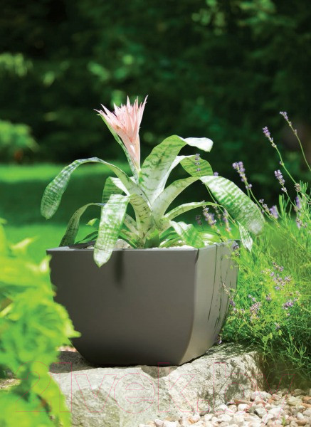 Изображение товара Кашпо Formplastic Muna / FP-2735-014 (антрацит)