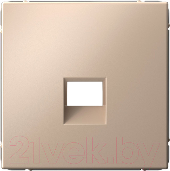 Изображение товара Лицевая панель Systeme (Schneider) Electric ArtGallery GAL001284