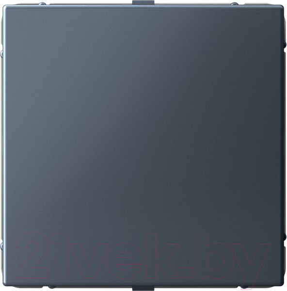 Изображение товара Заглушка для розетки Systeme (Schneider) Electric ArtGallery GAL000709