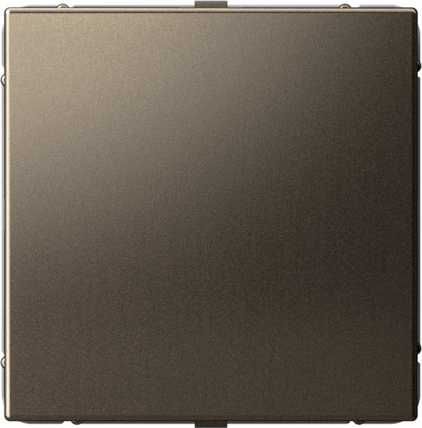 Изображение товара Декоративная заглушка для розетки Systeme (Schneider) Electric ArtGallery GAL000609